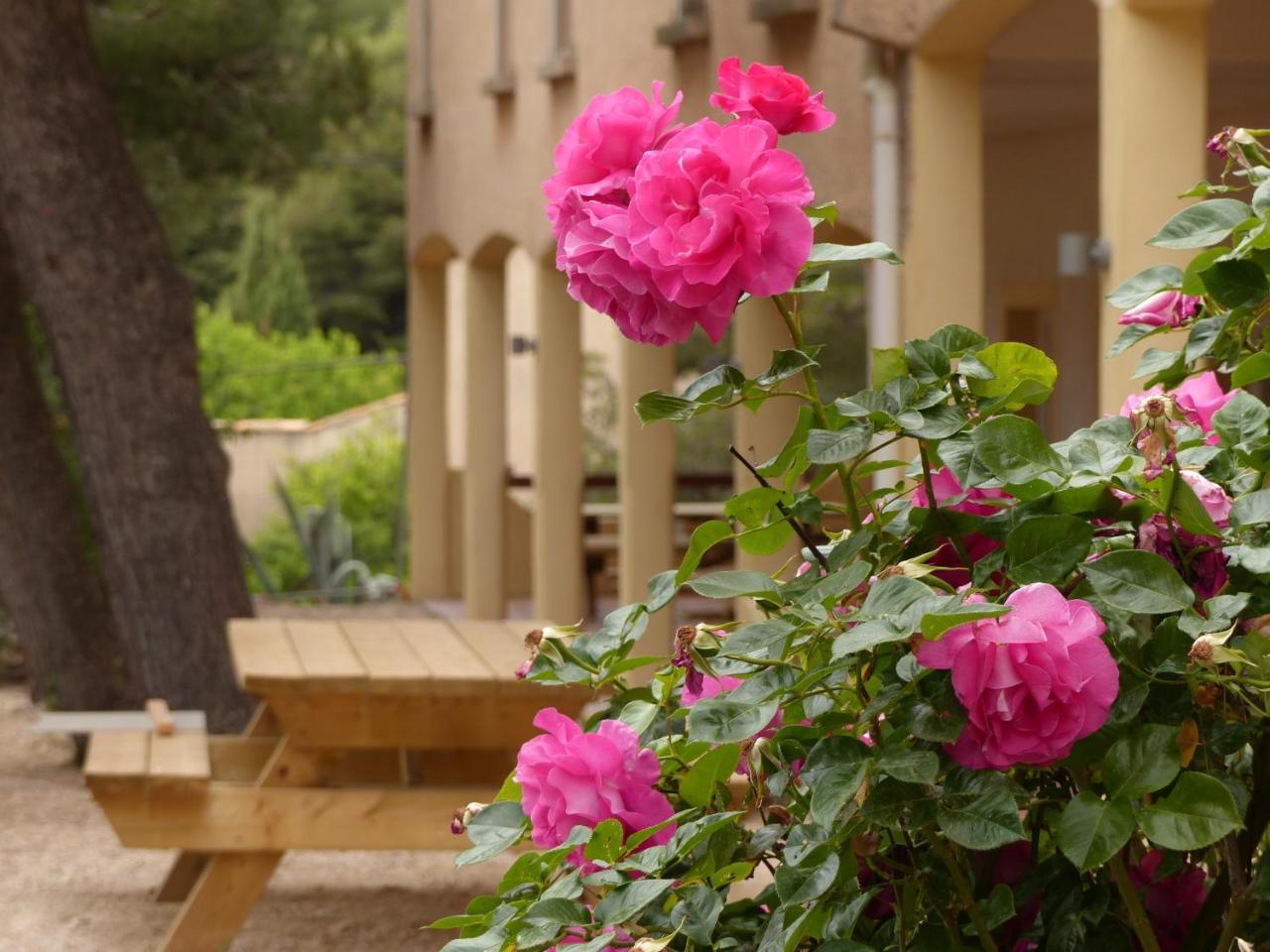 Appartements Des Joncas Martigues Dış mekan fotoğraf